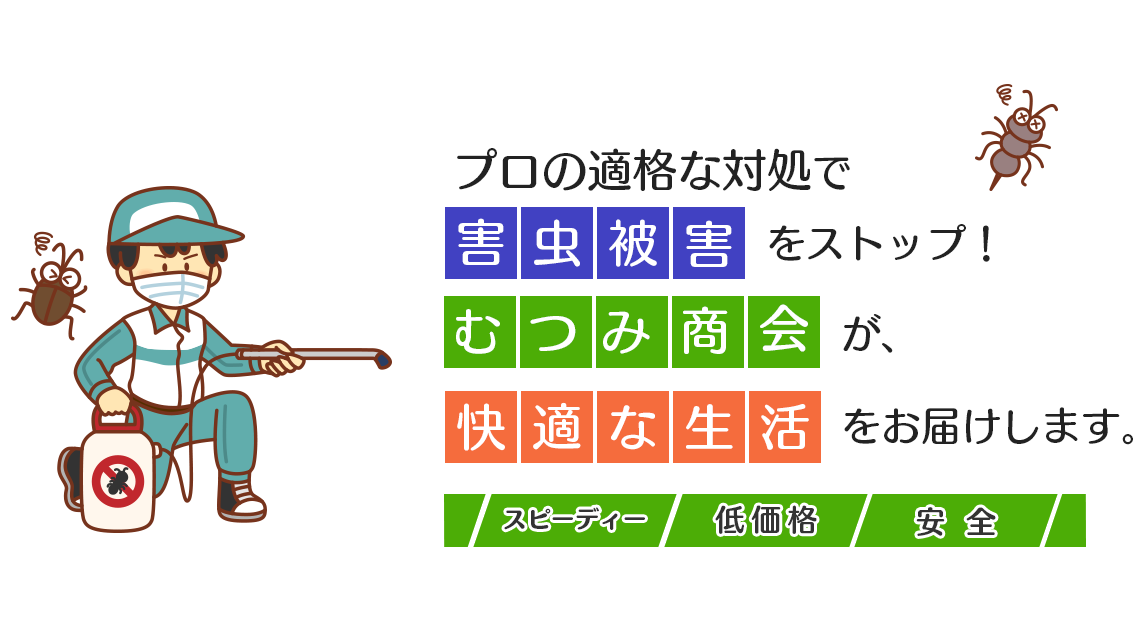 プロの適格な対処で害虫被害をストップ！むつみ商会が、快適な生活をお届けします。